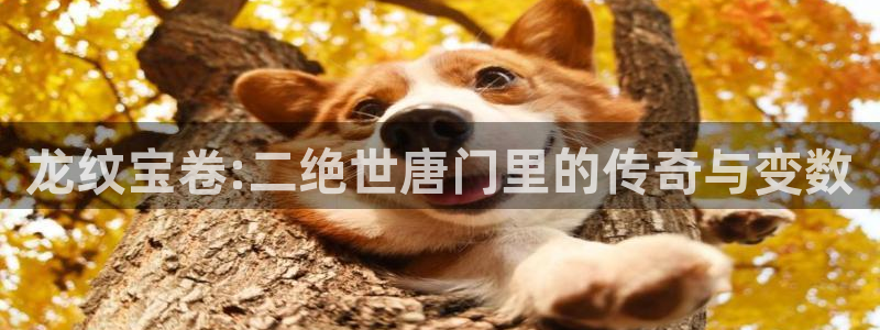 包子漫画在线网站：龙纹宝卷:二绝世唐门里的传奇与变数