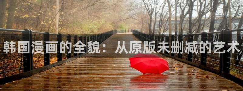 包子漫画ios伪装：韩国漫画的全貌：从原版未删减的艺术