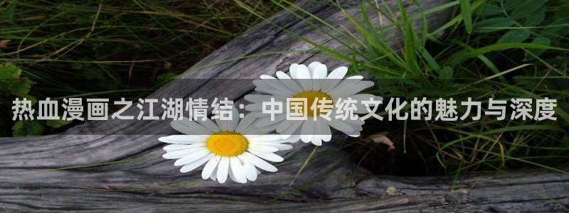免费看漫画包子漫画：热血漫画之江湖情结：中国传统文化的魅力与深度